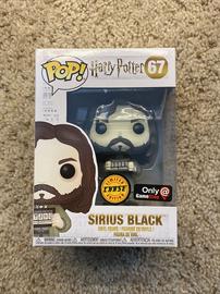 sirius black chase